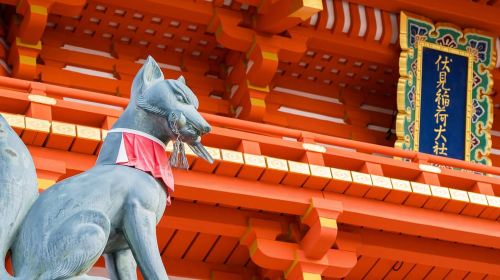 One-way Bus: Takayama to Kyoto via Shirakawago Day Tours