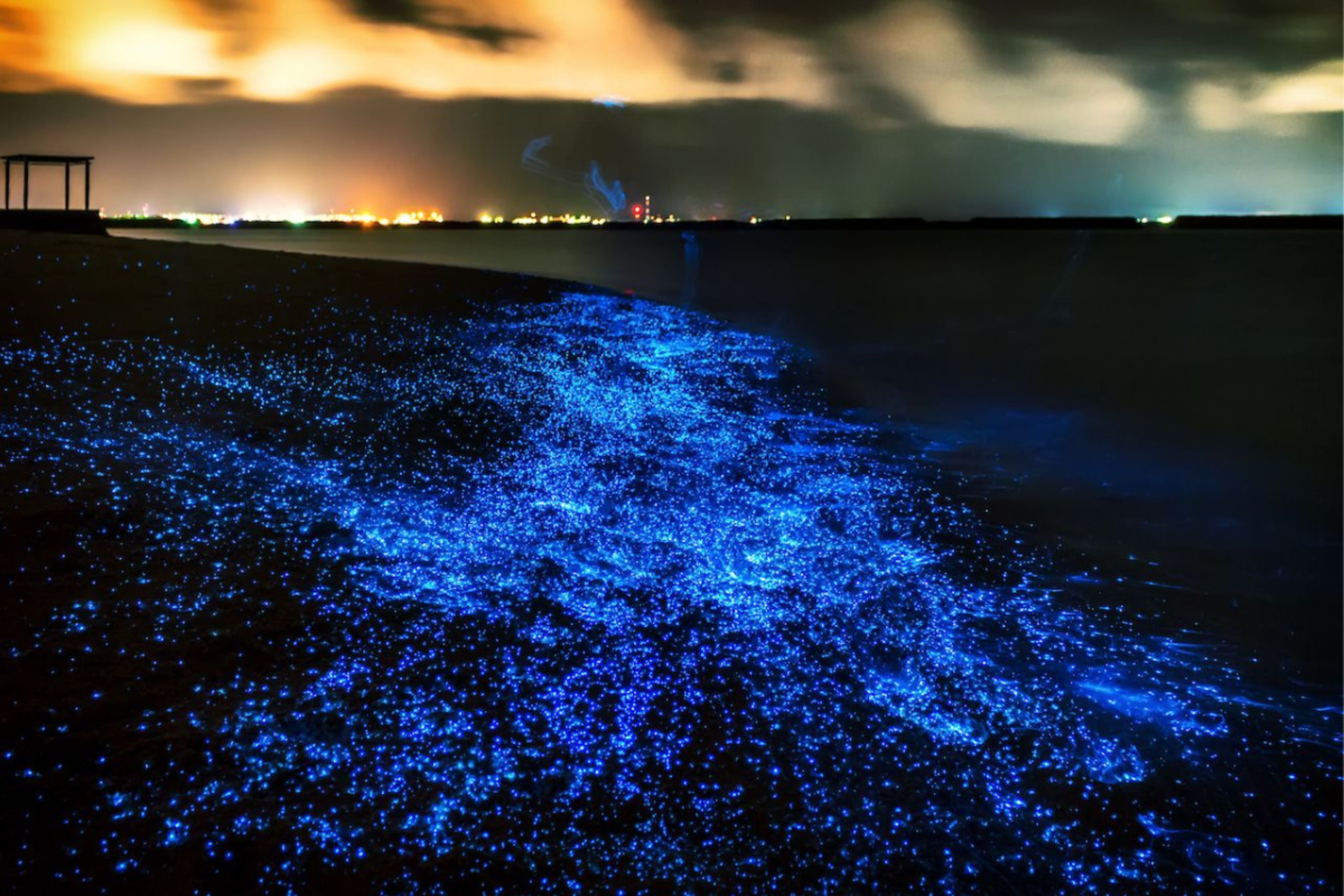 Bioluminescence & Sea Canoes in Phang Nga Bay by Speedboat incl. Transfer (included roundtrip transfer in Phuket Island) - HolidaySG