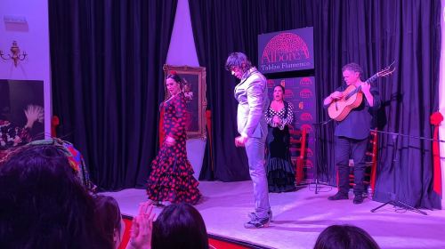 Albaicín & Sacromonte: Tour with Flamenco Show Day Tours
