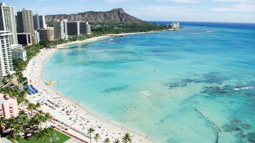 Pearl Harbor + Oahu Half-Day Tour Day Tours