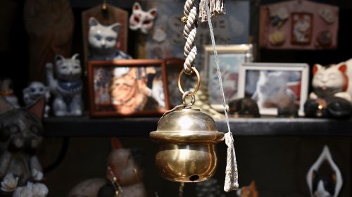 Yanaka & Ueno: Walking Tour of Tokyo Tradition & Culture Day Tours