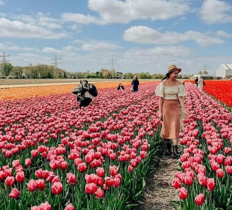 Amsterdam: Tulip Farm Visit, Keukenhof, and Windmill Cruise
