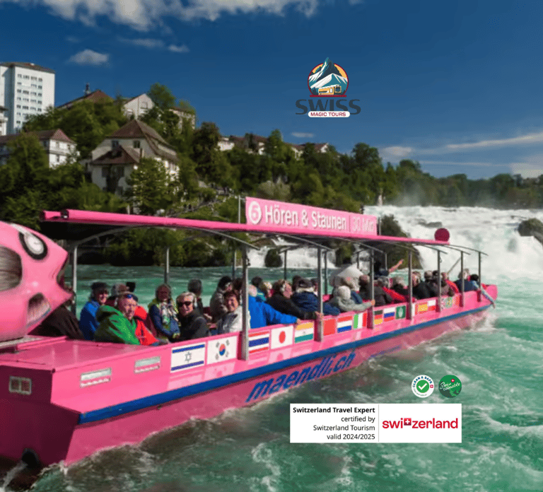 Rhine Falls & Stein am Rhein Private Day Trip