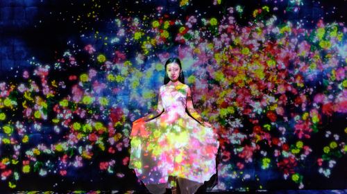 Tokyo Toyosu Market food tour with teamLab digital art experience (includes teamLab admission ticket) Day Tours