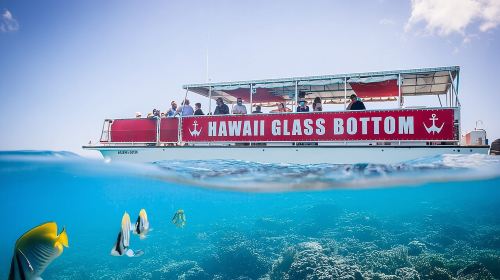 Sea Safari, Dolphins, Turtles and Waikiki Cruise Day Tours