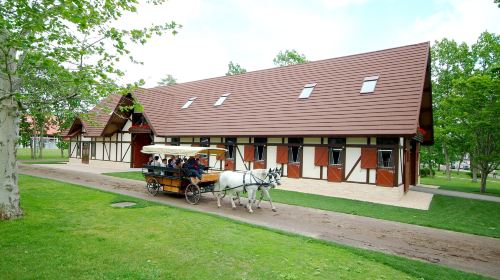 Northern Horse Park - HolidaySG