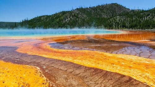 Full Day Yellowstone Nat'l Park Tour from Big Sky - Private Tour