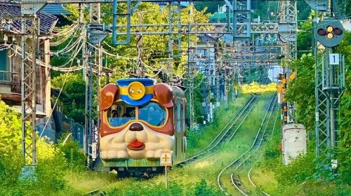Osaka Mount Ikoma Sky Bike + Nara in-depth fun one-day tour