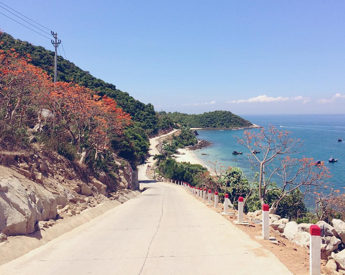 Cham Island Day Tour From Da Nang