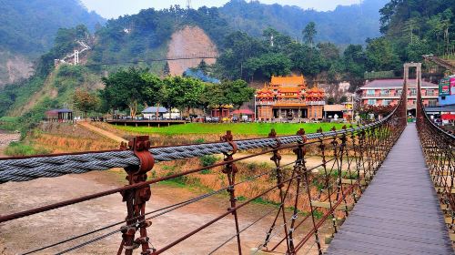 Alishan day tour | Tianchang-Dijiu & Alishan Forest Railway & tea-picking experience | Departing from Taichung Day Tours