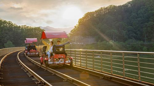 Nami Island one-day tour in South Korea [Alpaca Farm & Rail Bike & Garden of Morning Calm] Day Tours - HolidaySG