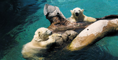 Sea World
