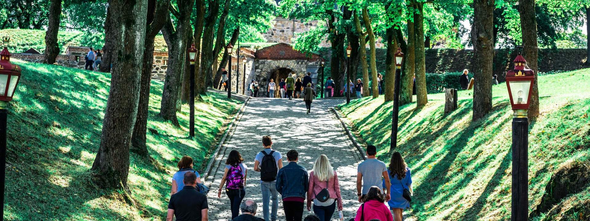 Oslo City and Viking Ship Museum Private Walking Tour