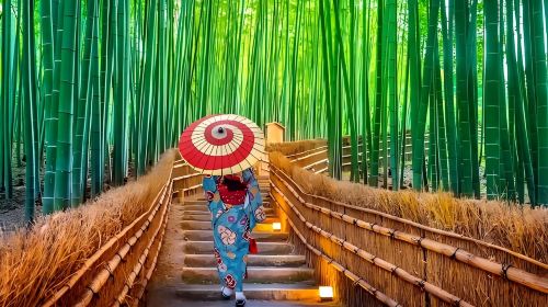 Kyoto Nara Fushimi Inari Shrine Arashiyama one-day tour[4-13 people small group with transfers] Day Tours