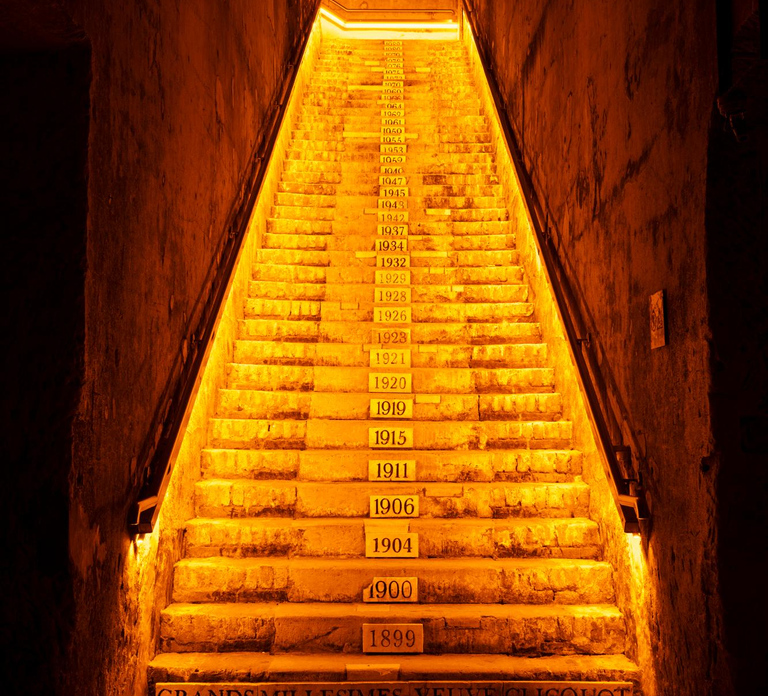 From Reims: Day Trip to Veuve Clicquot Family Grower & Lunch