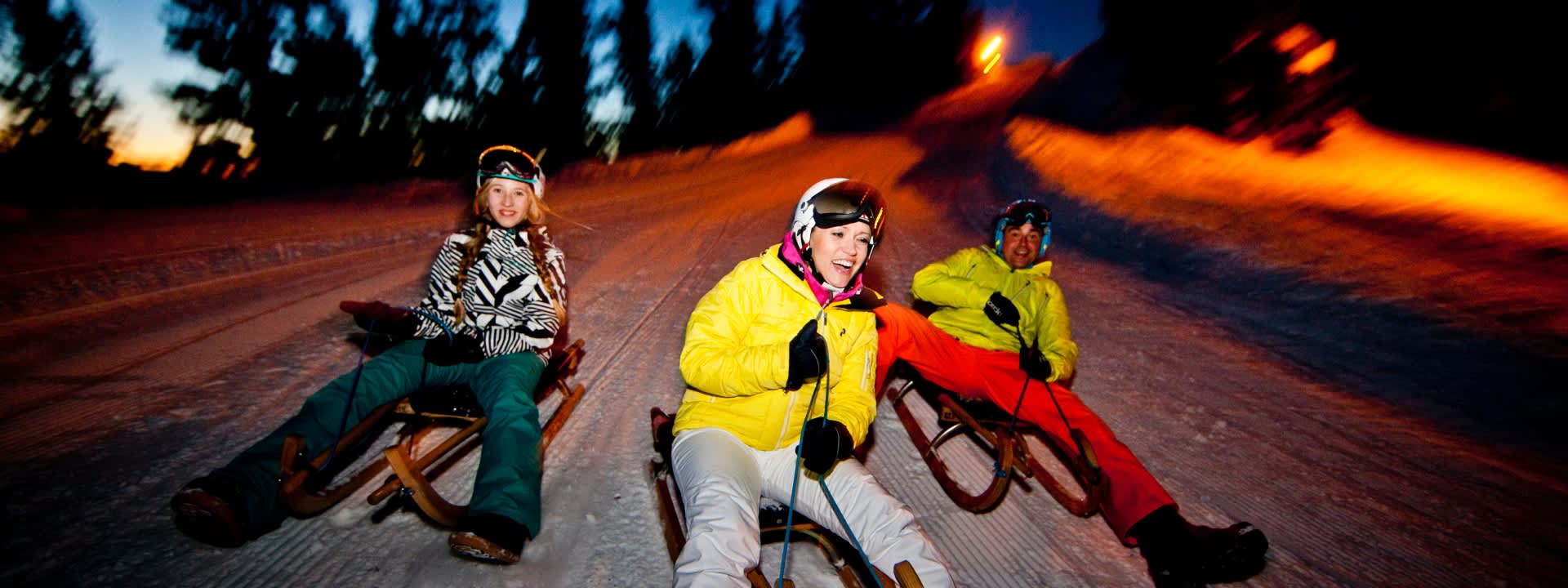 Sulwald Night Sledding Experience from Interlaken