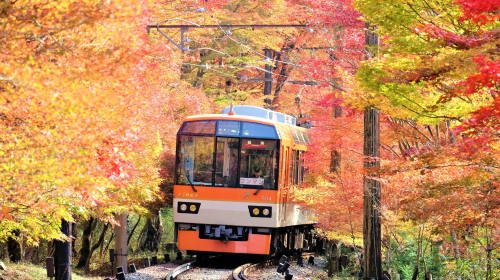 [Keihan Railway] Kyoto - Osaka Sightseeing Pass