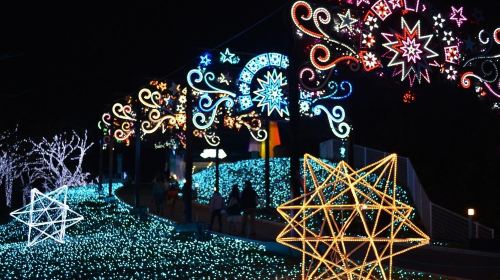 Sagamiko Resort Pleasure Forest