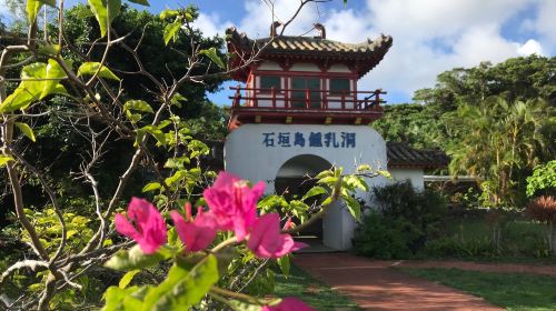 Ishigaki Stalactite Cave - HolidaySG