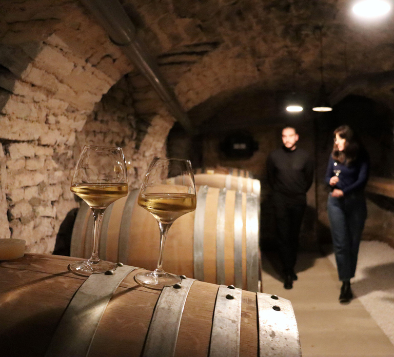 Historic Center of Dijon : Discovery Tasting Wine Burgundy