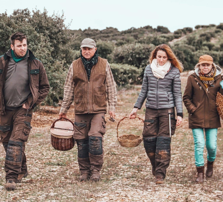 Truffle hunting and introduction to the Melanosporum truffle in a castle in Provence