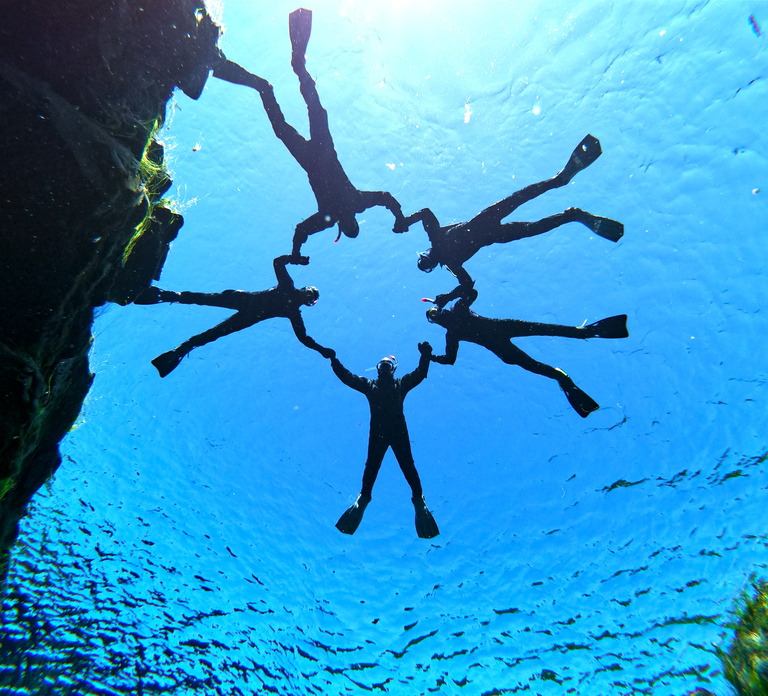 Silfra: Half-Day Snorkeling Day Trip with Underwater Photos