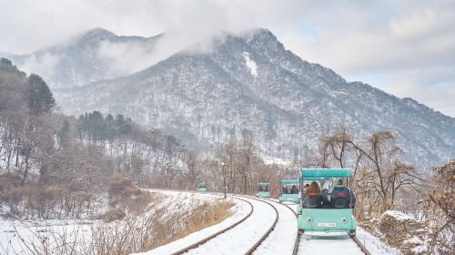From Seoul: Strawberry Picking + Nami Island + Eobi Valley + Rail Bike Day Tours