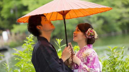 Kyoto: 1 Day Traditional Japanese Kimono Rental Experience Day Tours