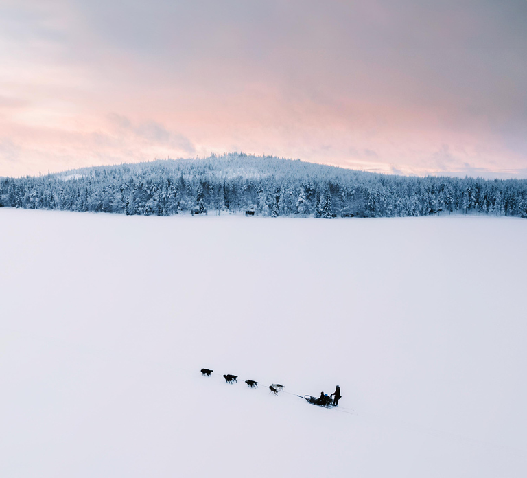 Nulkki Husky Adventure