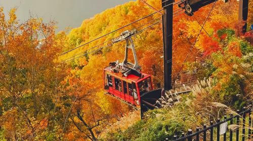 1-day tour with free cable car · Tokyo Fuji mountain Kawaguchiko panoramic cable car · viral Lawson · Oshino hakkai - HolidaySG