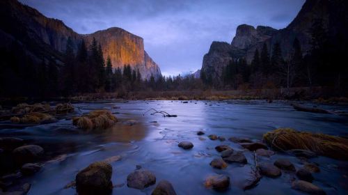 San Francisco Yosemite National Park 1-day tour [Join-in tour 5156] Day Tours