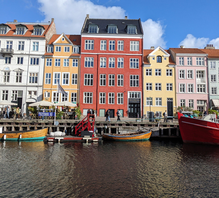 Mop in the heart of Copenhagen - private guided tour in French