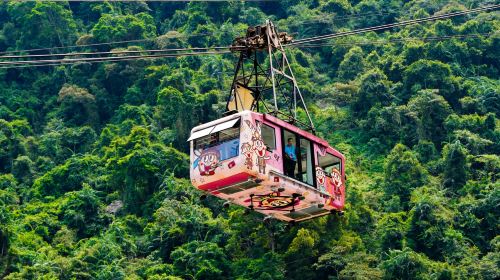 Neidong National Forest Recreation Area + Yun Hsien Resort + Wulai Scenic Train + Wulai Falls Old Street shared 1-day tour Day Tours