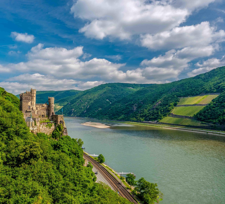 From Frankfurt: Rhine Valley Day Trip
