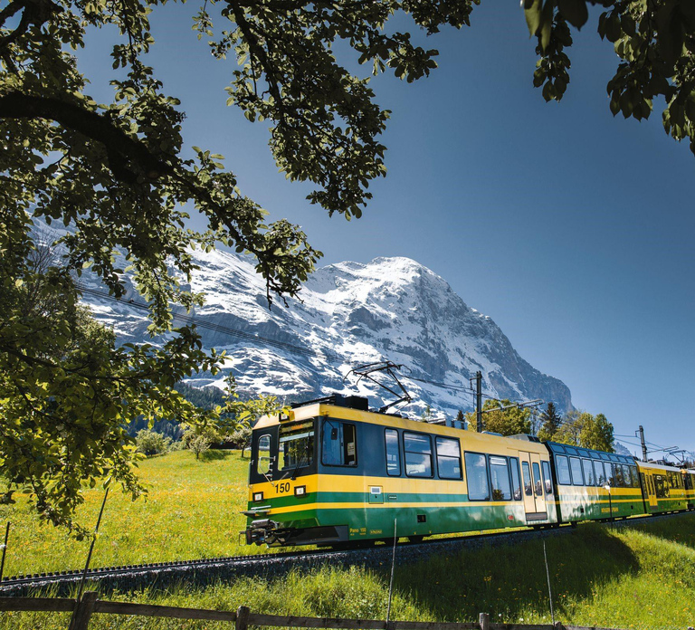 From Zurich: Mount Eiger Day Trip to Kleine Scheidegg