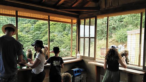 Kyoto Arashiyama & Golden Pavilion One-Day Walking Tour Day Tours