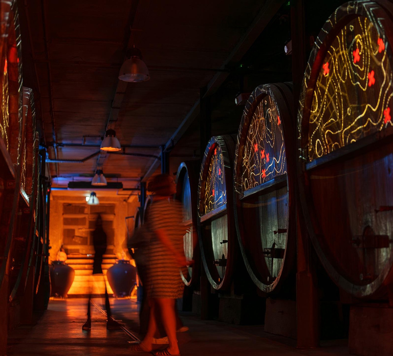 Alsace: Guided Wine Tasting and Cellar Visit