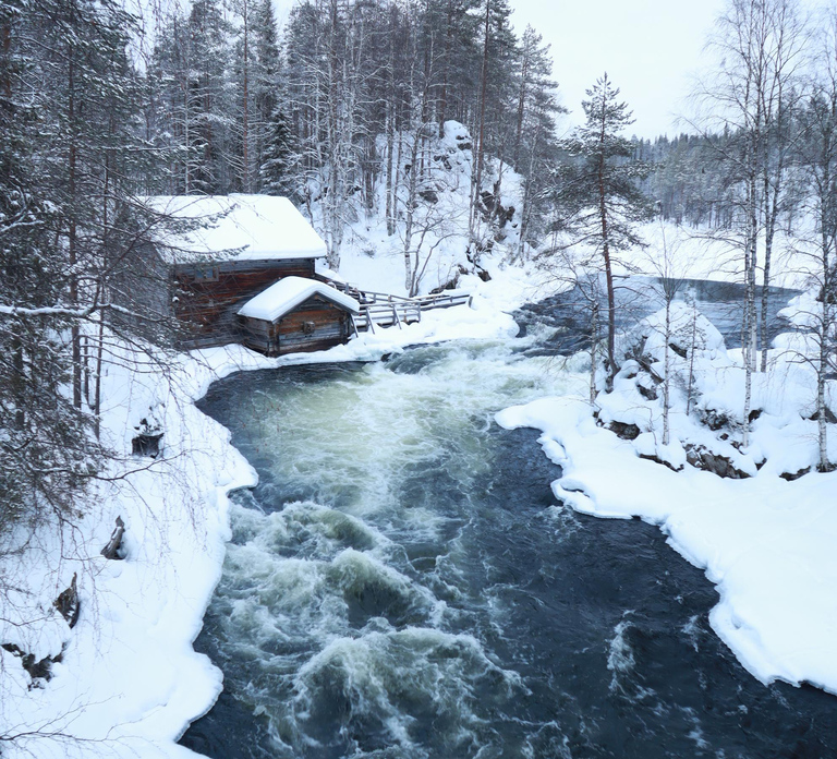 From Ruka: Snowshoeing in Oulanka National Park