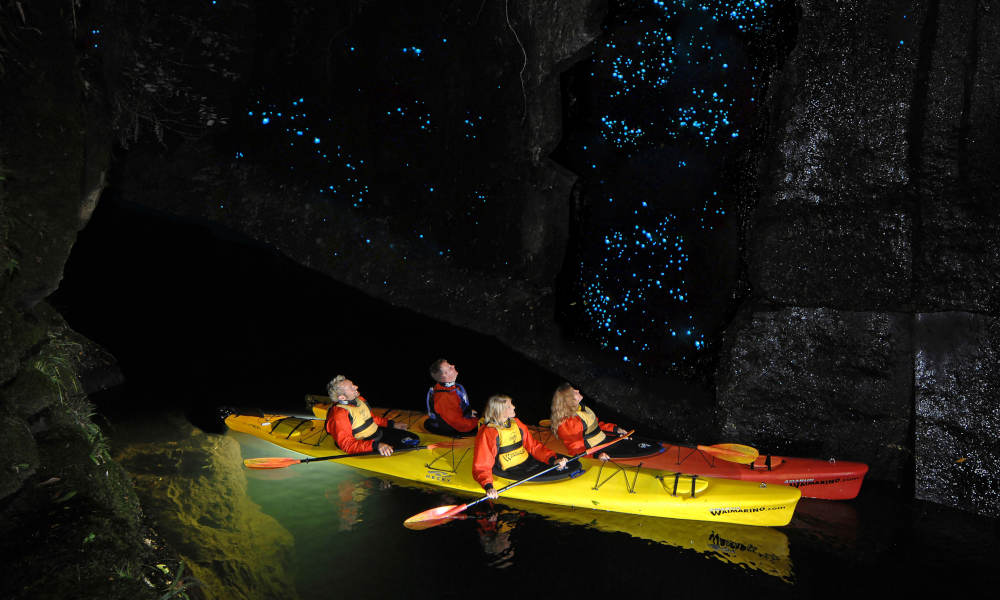 Tauranga Evening Glowworm Kayak Tour