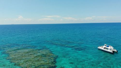Key West Dolphin Watching + Snorkeling + Sunset Cruise Transport Passes