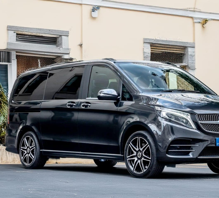 Amsterdam: Private transfer to/from Schiphol Airport or city