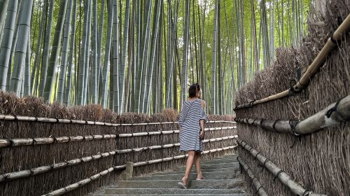 Kyoto: Avoid the Crowds at the Hidden Gems of Arashiyama Day Tours