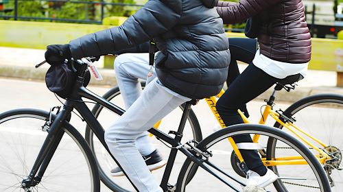 Central Park full-day bike rental with picnic box Day Tours