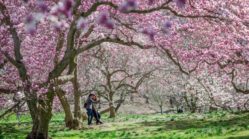 NYC: New York Botanical Garden Pass Day Tours