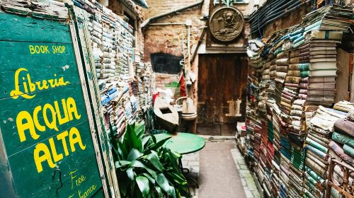 Venice: Highlights and Hidden Gems Night Walking Tour Day Tours