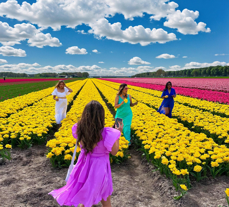 Amsterdam: Tulip Fields Day Tour with Lunch & Windmill
