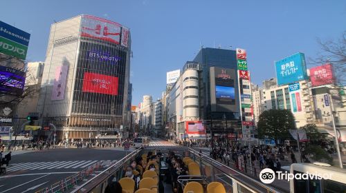 Sky Hop Bus Tokyo - HolidaySG