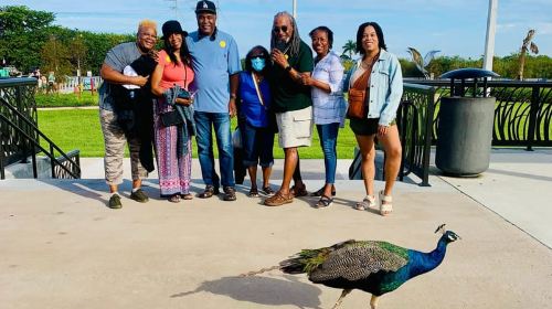 Everglades: on Flat Propelled Boat with Transportation Day Tours