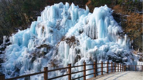 Winter-exclusive|Eobi Valley Glacier X Petite France Italian Village X Nami Island X Morning Calm Arboretum Night Day Tours