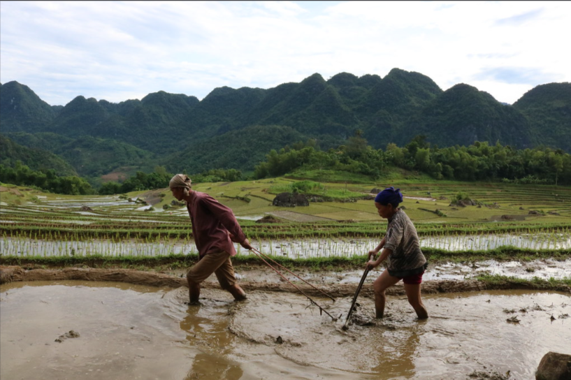 Sapa 2 Days By Bus - Fansipan Trekking Tour